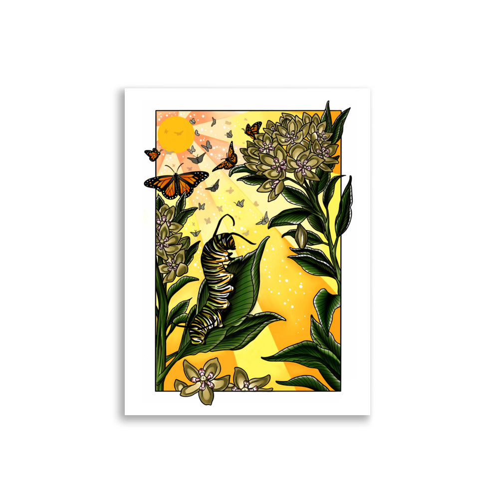 Monarch Caterpillar and Butterflies