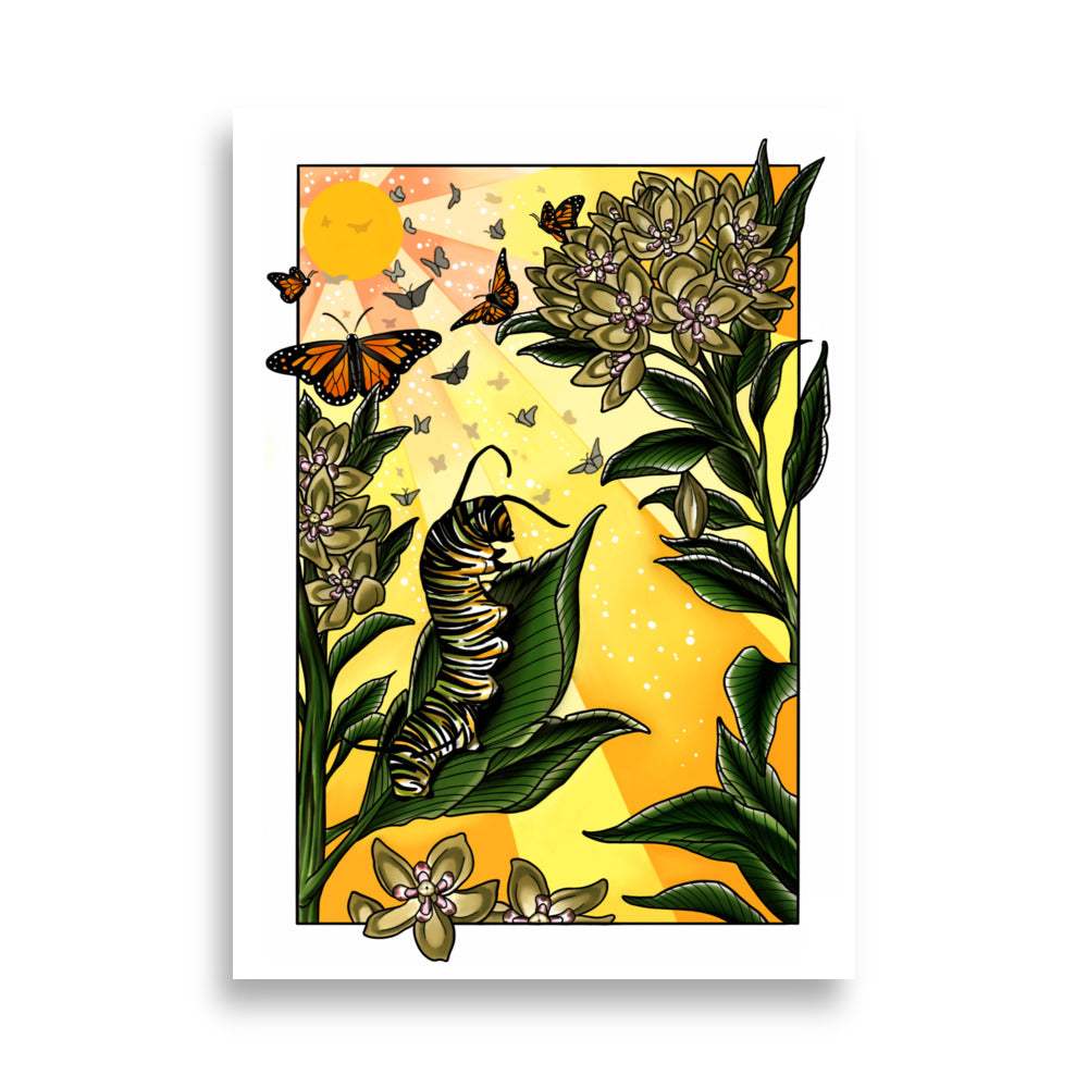 Monarch Caterpillar and Butterflies