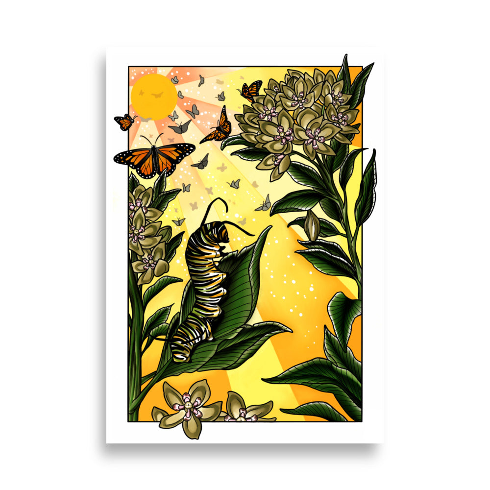 Monarch Caterpillar and Butterflies