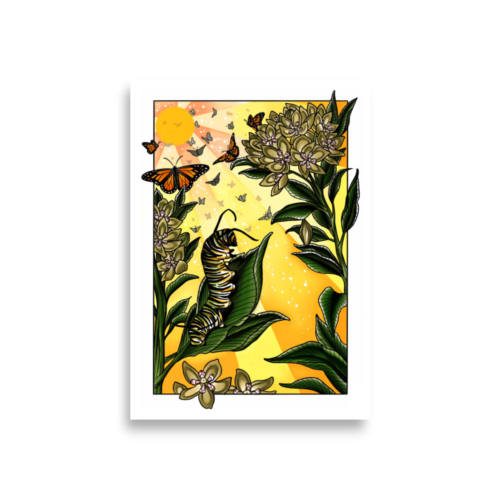 Monarch Caterpillar and Butterflies